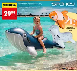 Biedronka Spokey Zwierzak nadmuchiwany oferta