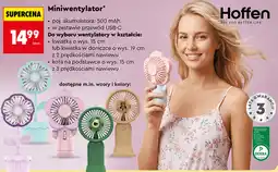 Biedronka Hoffen Miniwentylator oferta