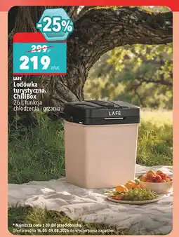 Biedronka Lafe Lodówka turystyczna ChillBox oferta