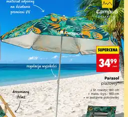 Biedronka Parasol plażowy oferta
