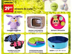 Biedronka Activ'Pet Akcesoria dla pupila oferta