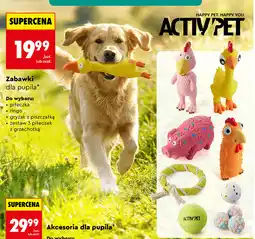 Biedronka Zabawki dla pupila oferta