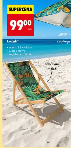 Biedronka Leżak oferta