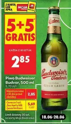 Biedronka Piwo Budweiser Budvar 500 ml oferta