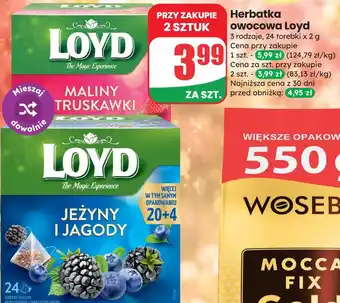 Dino Herbatka owocowa Loyd oferta