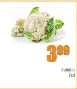 E.Leclerc Kalafior oferta