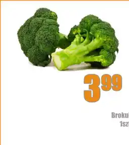 E.Leclerc Brokuł oferta