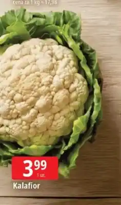 E.Leclerc Kalafior oferta