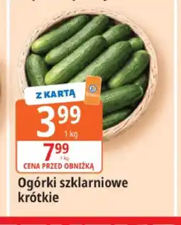 E.Leclerc Ogórki szklarniowe krótkie oferta