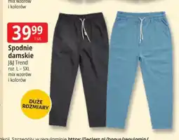E.Leclerc Spodnie damskie J&J Trend oferta