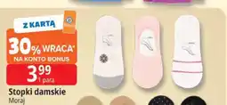 E.Leclerc Stopki damskie Moraj oferta