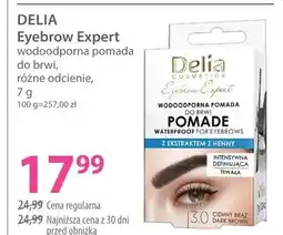 Hebe Pomada do brwi Delia Eyebrow Expert oferta