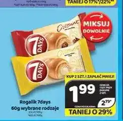 Delfin Rogalik 7 Days oferta