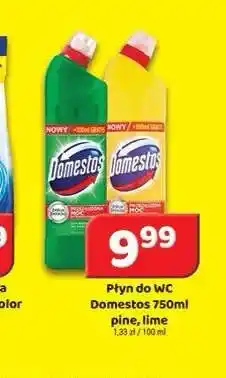 Delfin Płyn do WC Domestos Pine oferta