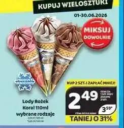 Delfin Lody Rożek Koral oferta