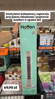 Biedronka Wentylator kolumnowy Hoffen oferta