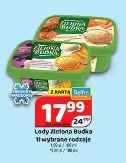 Delfin Lody czekoladowe Zielona Budka oferta