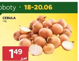Stokrotka Market CEBULA oferta