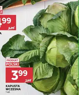 Stokrotka Market Kapusta wczesna oferta