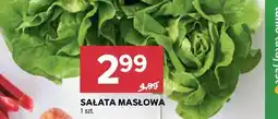 Stokrotka Market Sałata masłowa oferta