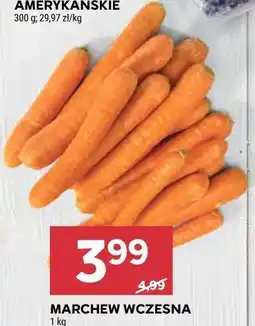Stokrotka Market Marchew wczesna oferta