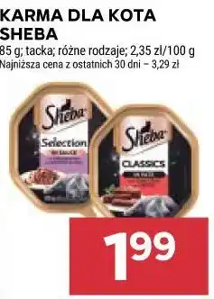 Stokrotka Market Karma dla kota Sheba oferta