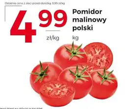 Frac Pomidory Polski oferta