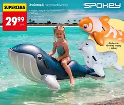 Biedronka Zabawka dmuchana Spokey oferta