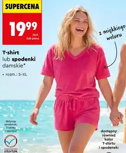 Biedronka Spodenki damskie oferta