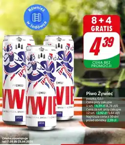 Dino Piwo Żywiec Premium oferta