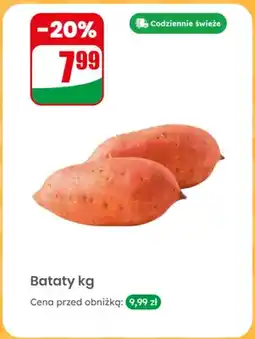 Dino Bataty oferta