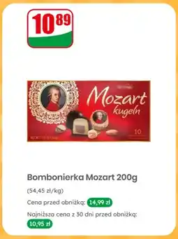 Dino Bombonierka Mozart Schluckwerder oferta