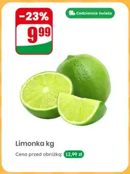 Dino Limonka oferta