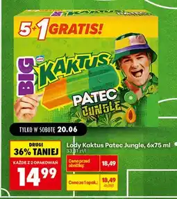 Biedronka Lody Kaktus Patec Jungle 6-pak oferta