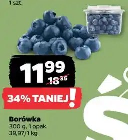 Netto Borówka oferta