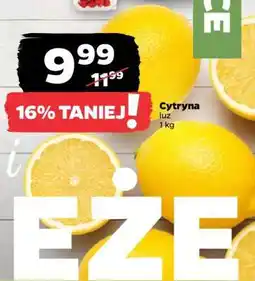 Netto Cytryna luz oferta