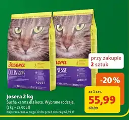 Maxi Zoo Sucha karma dla kota Josera Culinesse oferta