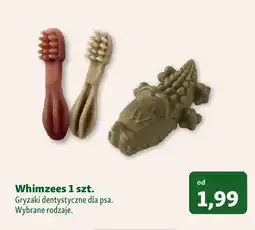 Maxi Zoo Gryzaki dentystyczne dla psa Whimzees oferta