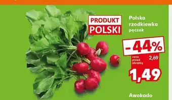 Kaufland Polska rzodkiewka oferta