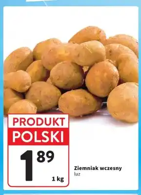 Ziemniaki wczesne luz polskie