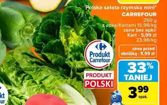Carrefour Polska sałata rzymska mini oferta