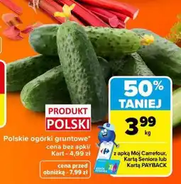 Carrefour Polskie ogórki gruntowe oferta