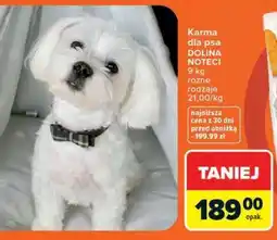Carrefour Karma dla psa DOLINA NOTECI oferta