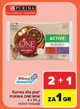 Carrefour Purina One Mini oferta