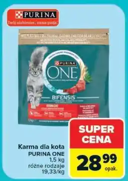Carrefour PURINA ONE oferta