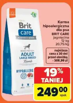 Carrefour Brit Care oferta