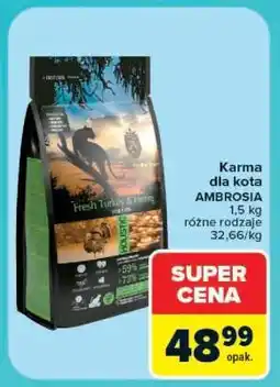 Carrefour Karma dla kota AMBROSIA oferta