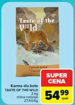 Carrefour Karma dla kota oferta