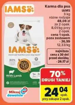 Carrefour IAMS oferta