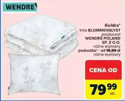 Carrefour Kołdra oferta